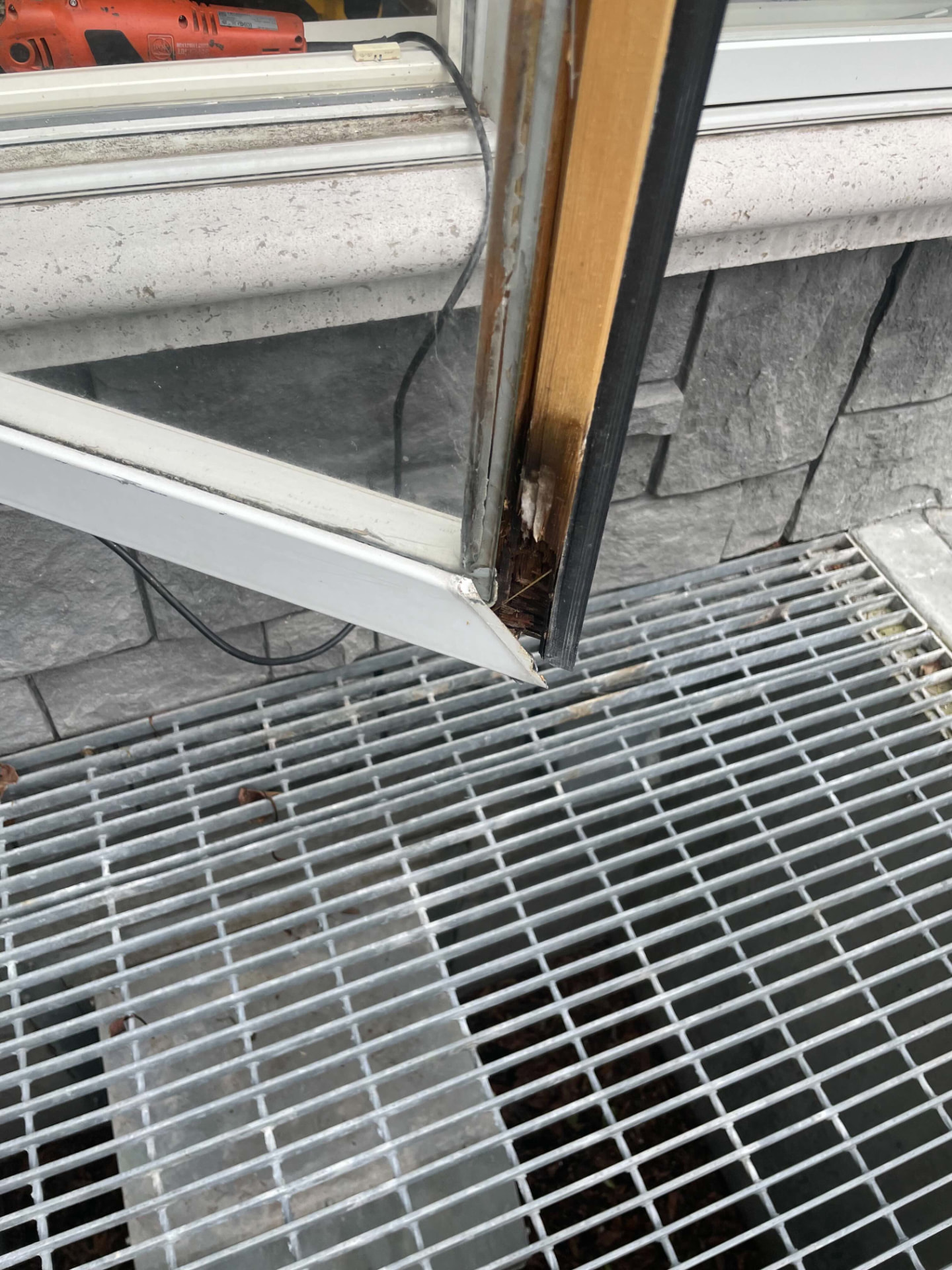 Water tracked behind the cladding and destroyed the pine core at the bottom corner. The glass is fine. This is a joinery repair, not a replacement case.
